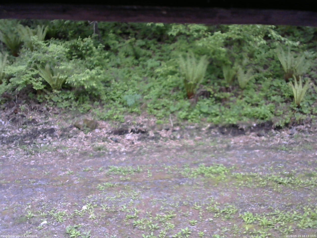 長野県菅平高原 ゆたか山荘 東側(坂下) 2026/05/23 18:15