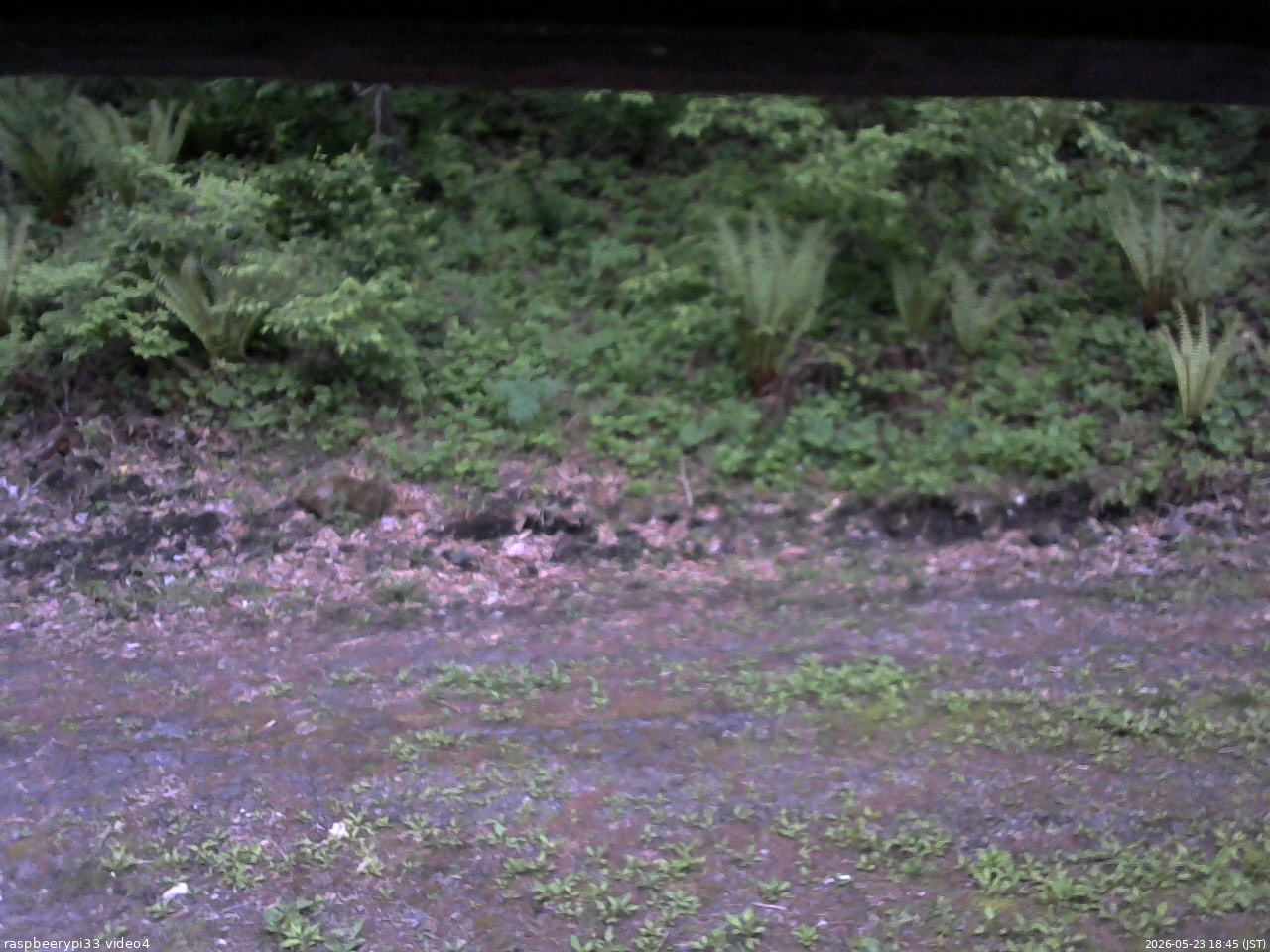 長野県菅平高原 ゆたか山荘 東側(坂下) 2026/05/23 18:45