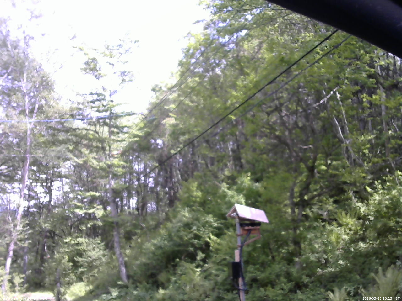 長野県菅平高原 ゆたか山荘 温度計 2026/05/23 13:15