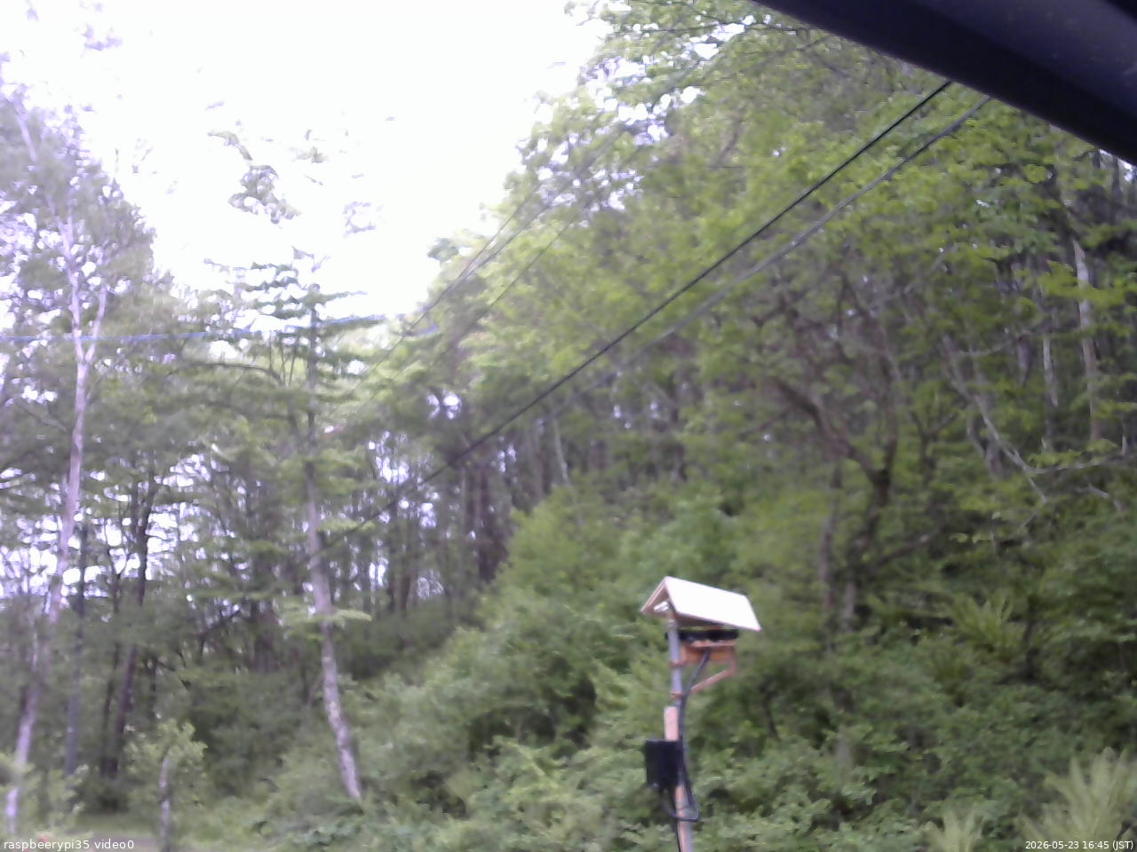 長野県菅平高原 ゆたか山荘 温度計 2026/05/23 16:45