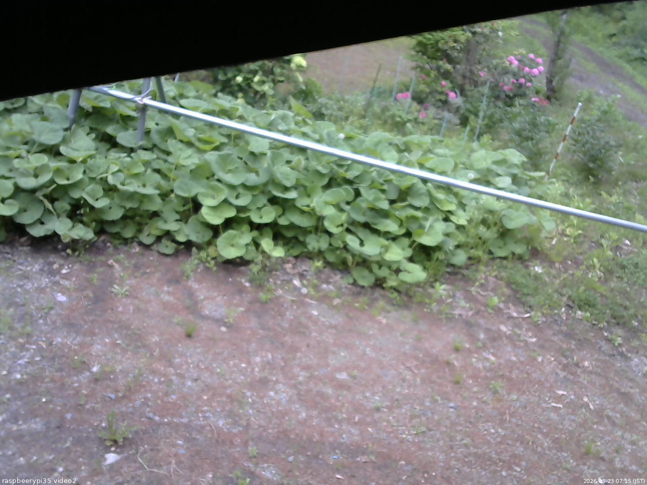 長野県菅平高原 ゆたか山荘 駐車場 2026/05/23 07:15