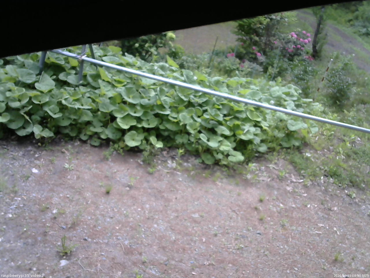 長野県菅平高原 ゆたか山荘 駐車場 2026/05/23 08:30