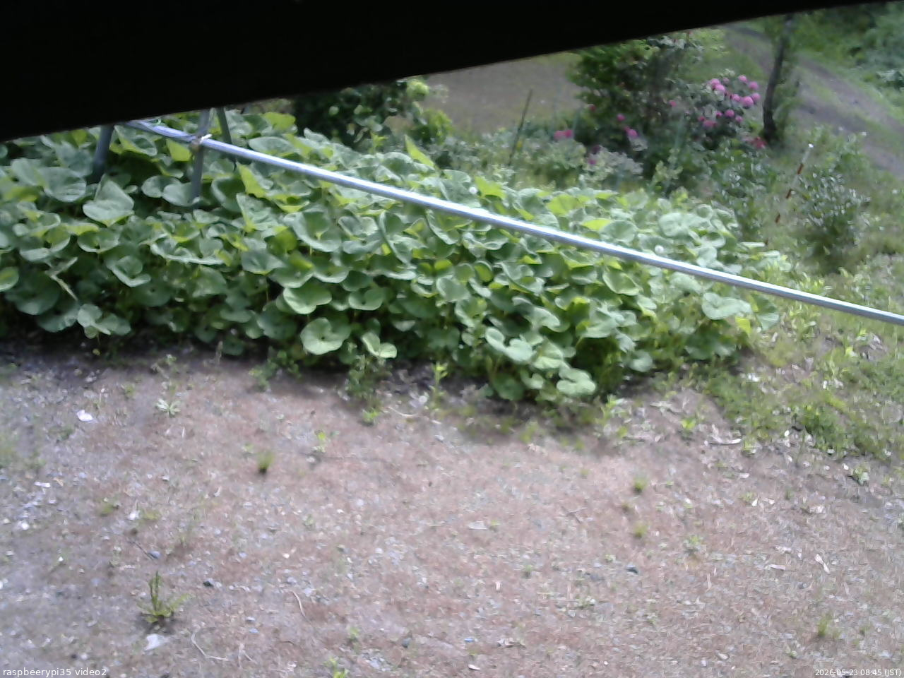 長野県菅平高原 ゆたか山荘 駐車場 2026/05/23 08:45