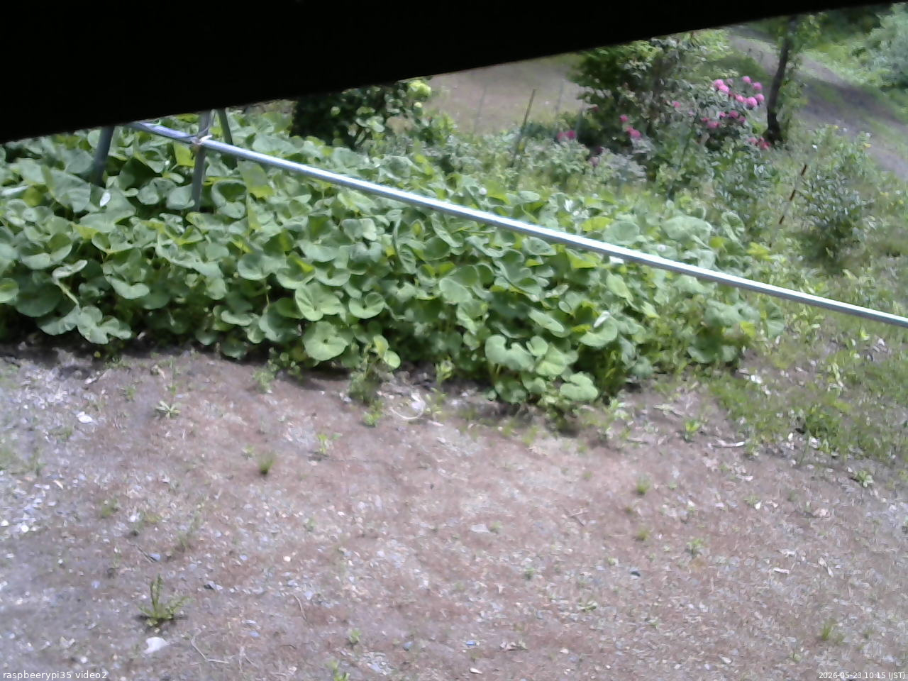 長野県菅平高原 ゆたか山荘 駐車場 2026/05/23 10:15
