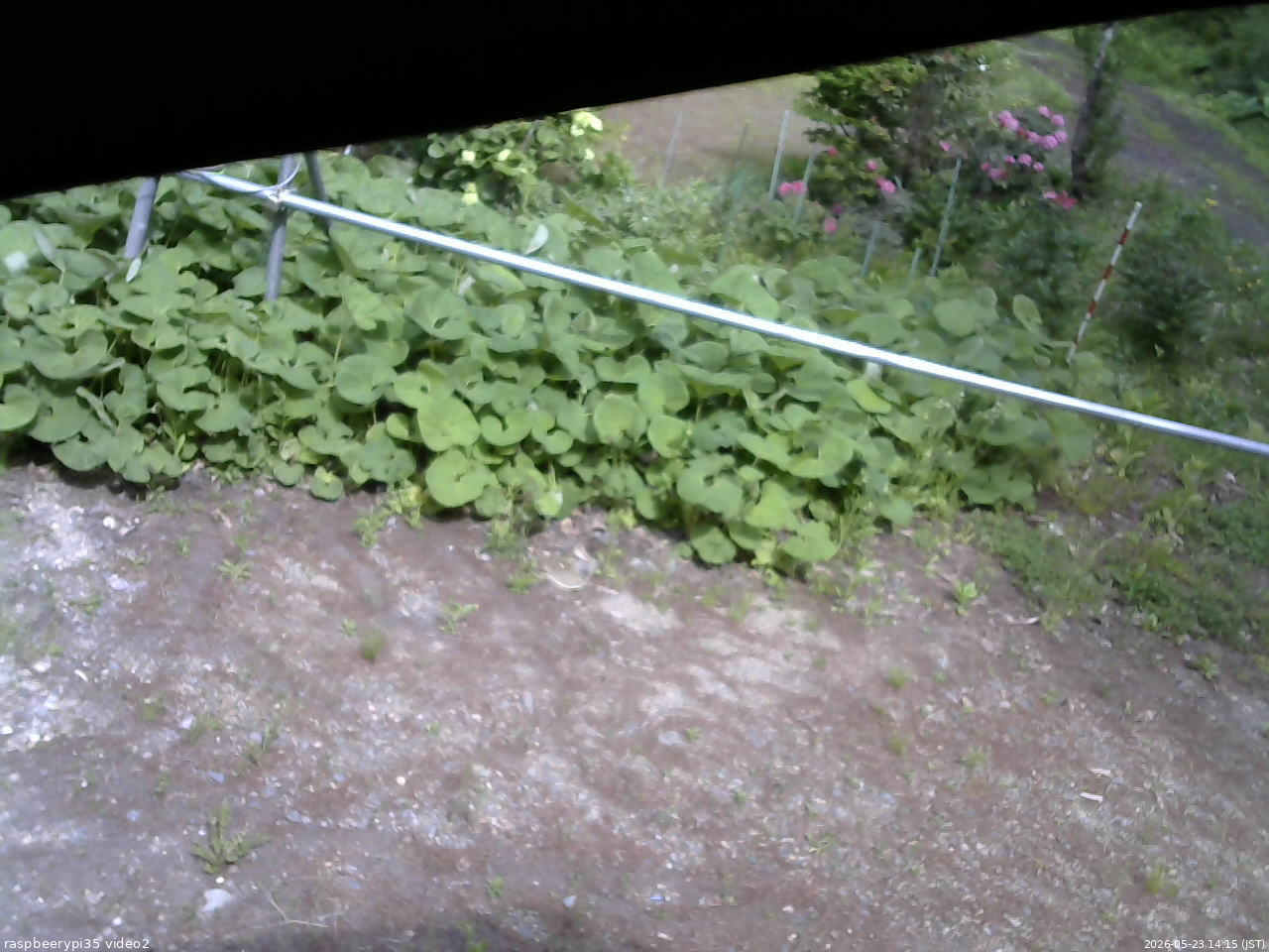 長野県菅平高原 ゆたか山荘 駐車場 2026/05/23 14:15
