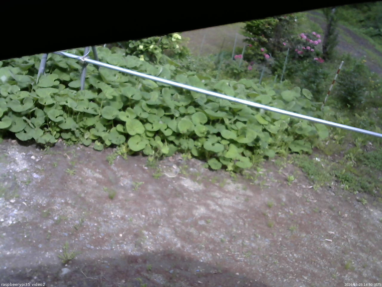 長野県菅平高原 ゆたか山荘 駐車場 2026/05/23 14:30