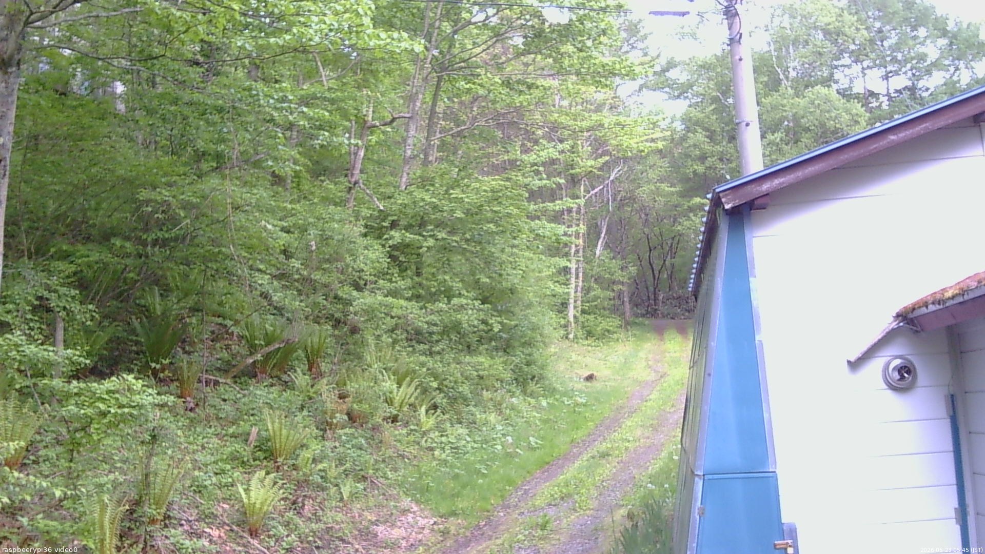 長野県菅平高原 ゆたか山荘 ゆたか山荘 2026/05/23 05:45