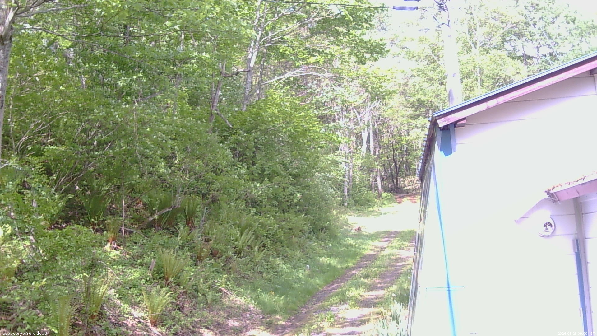 長野県菅平高原 ゆたか山荘 ゆたか山荘 2026/05/23 09:00