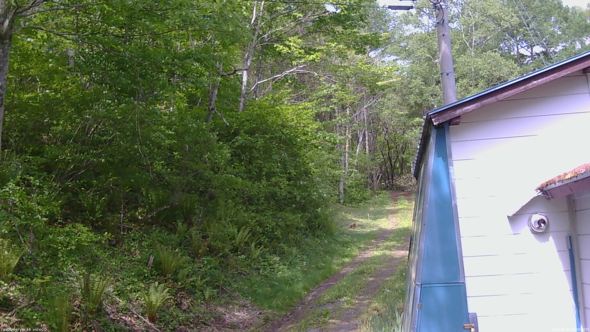 長野県菅平高原 ゆたか山荘 ゆたか山荘 2026/05/23 09:30
