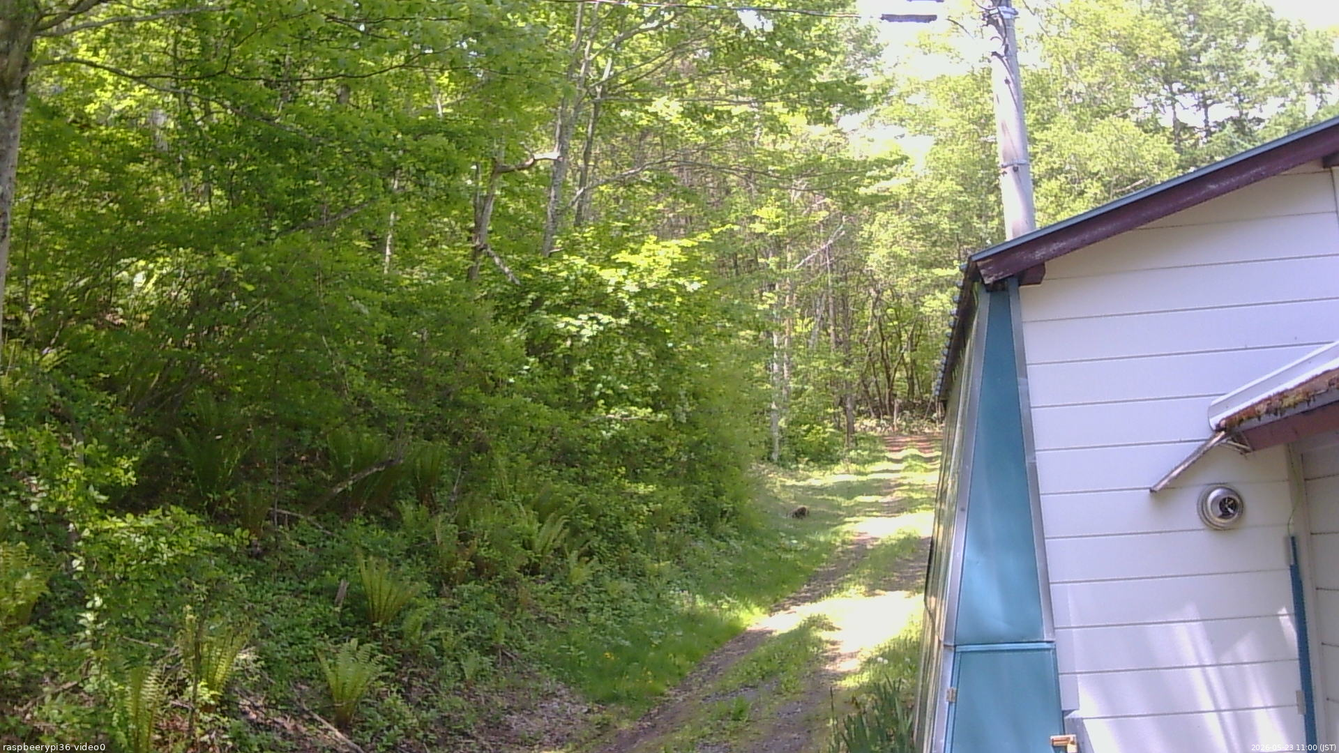 長野県菅平高原 ゆたか山荘 ゆたか山荘 2026/05/23 11:00
