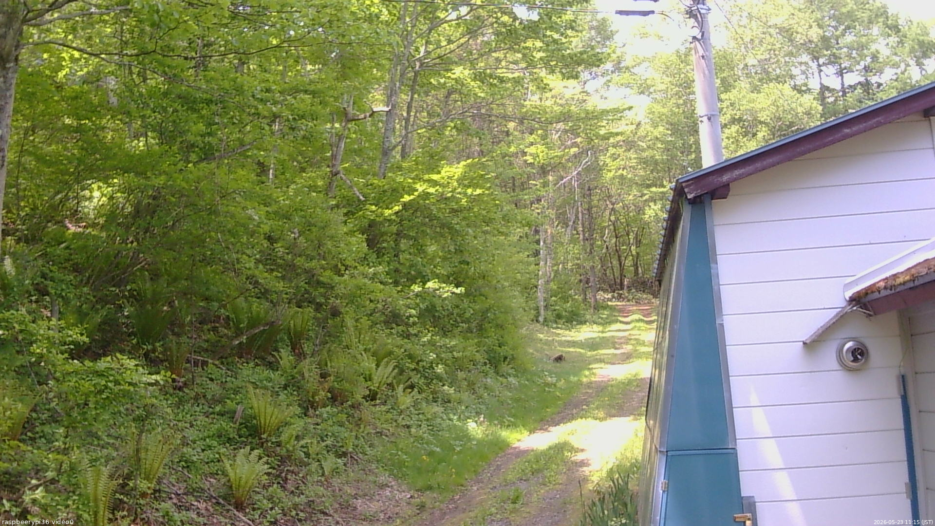 長野県菅平高原 ゆたか山荘 ゆたか山荘 2026/05/23 11:15