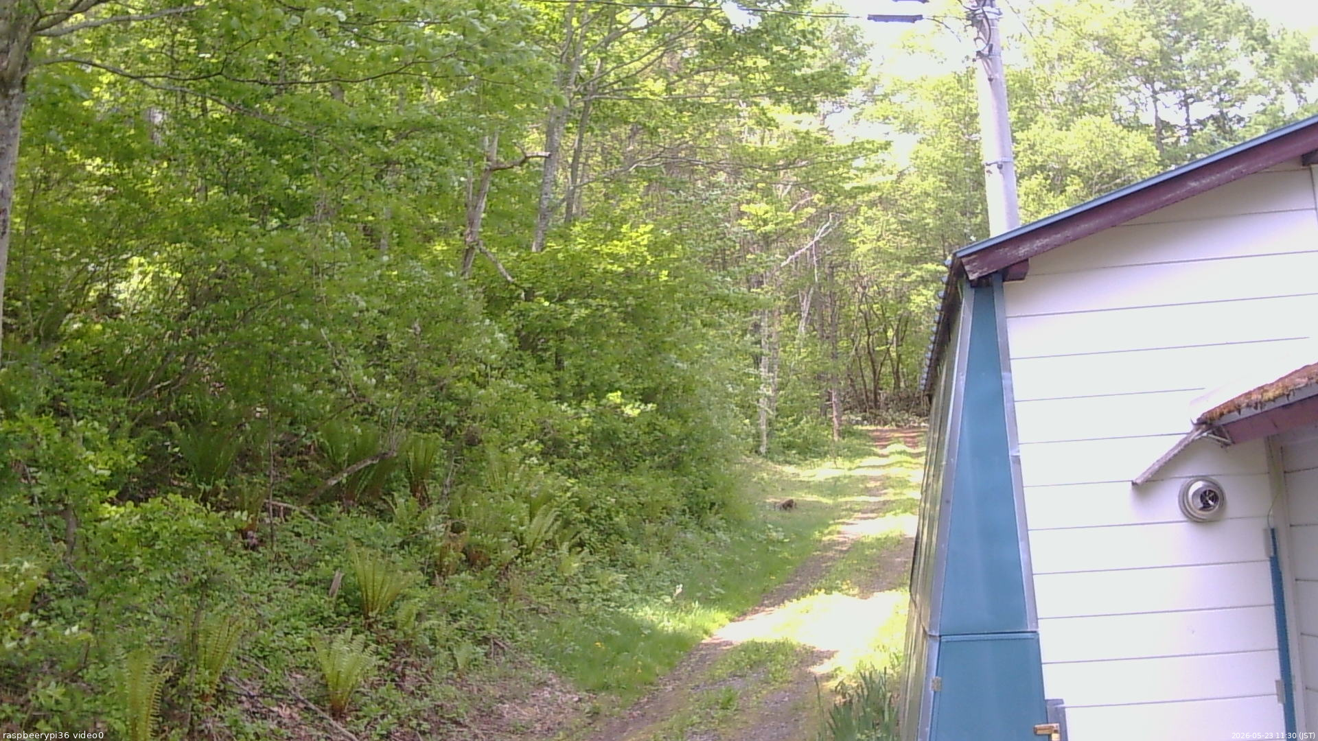 長野県菅平高原 ゆたか山荘 ゆたか山荘 2026/05/23 11:30