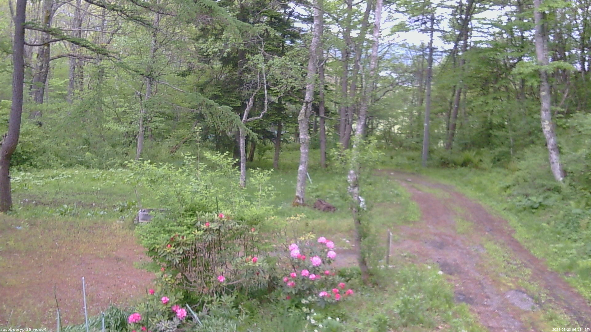 長野県菅平高原 ゆたか山荘 坂上 2026/05/23 06:15