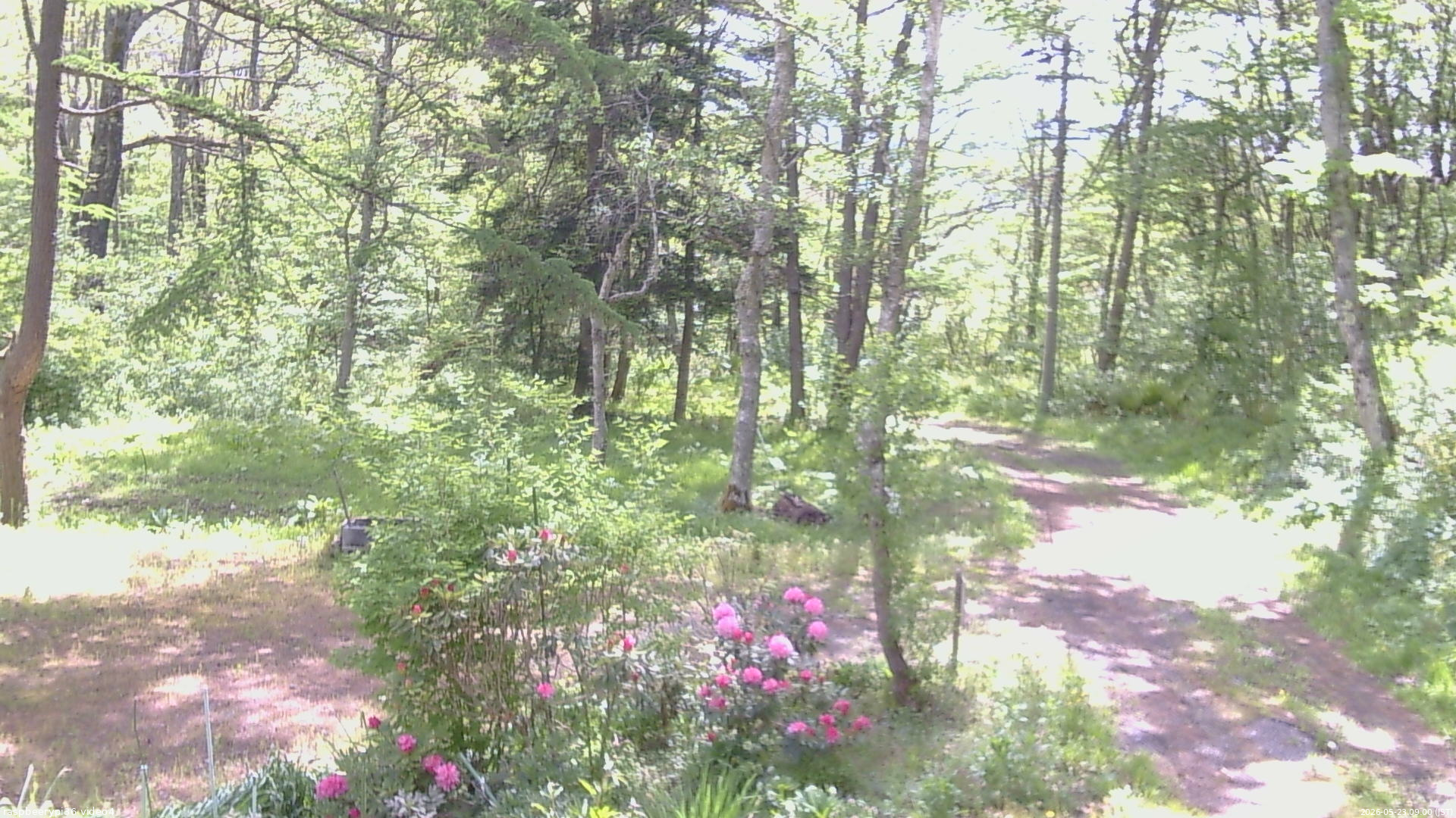 長野県菅平高原 ゆたか山荘 坂上 2026/05/23 09:00