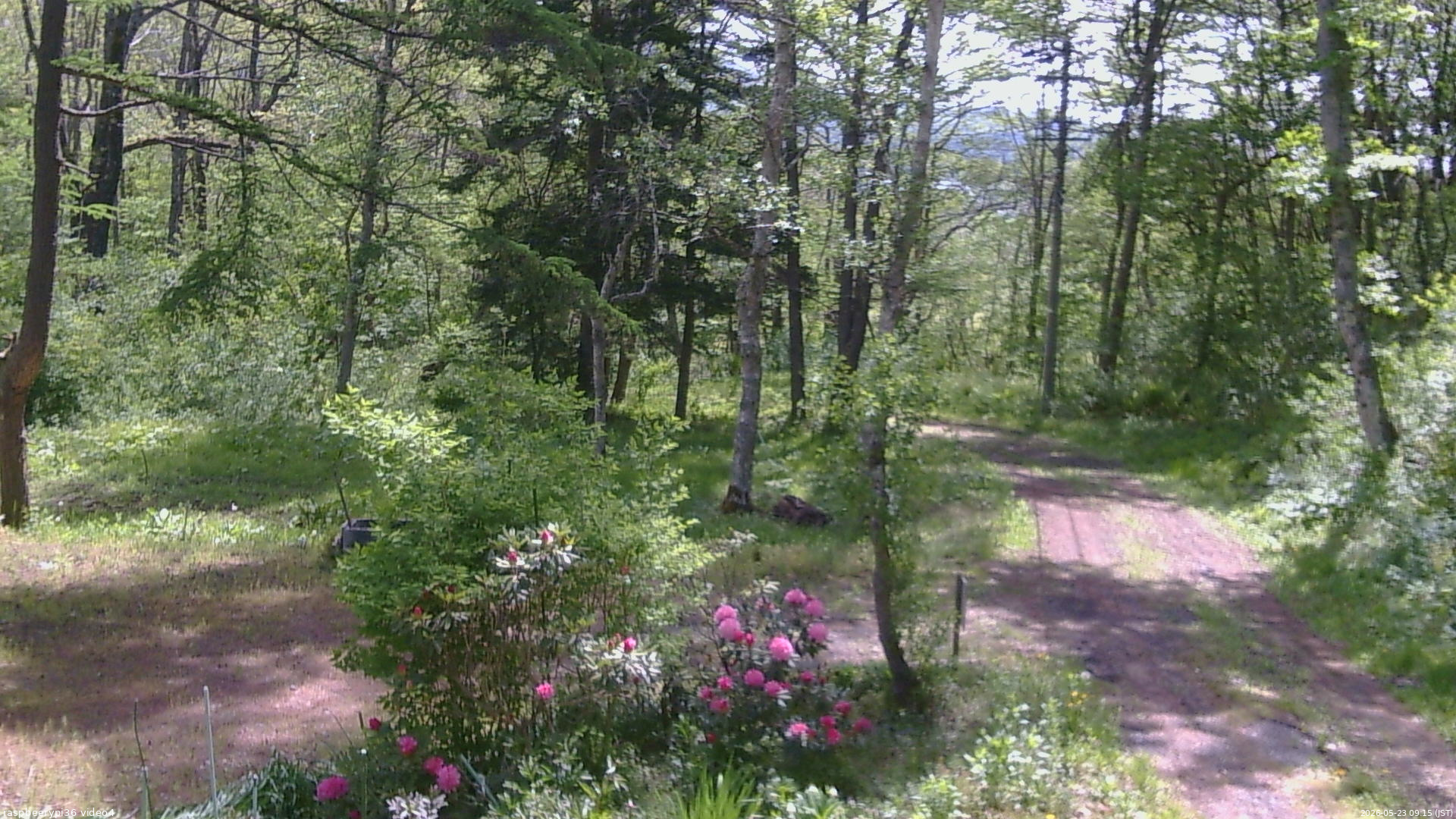 長野県菅平高原 ゆたか山荘 坂上 2026/05/23 09:15