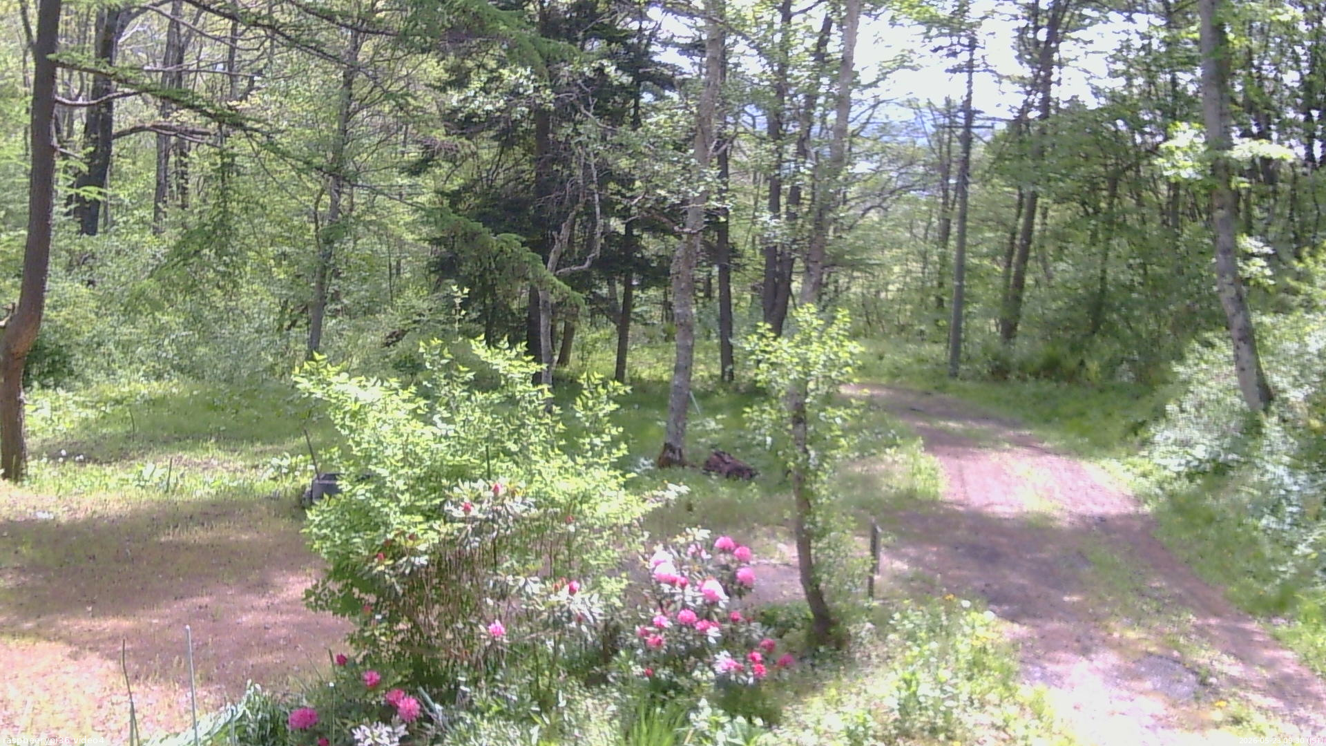 長野県菅平高原 ゆたか山荘 坂上 2026/05/23 09:30