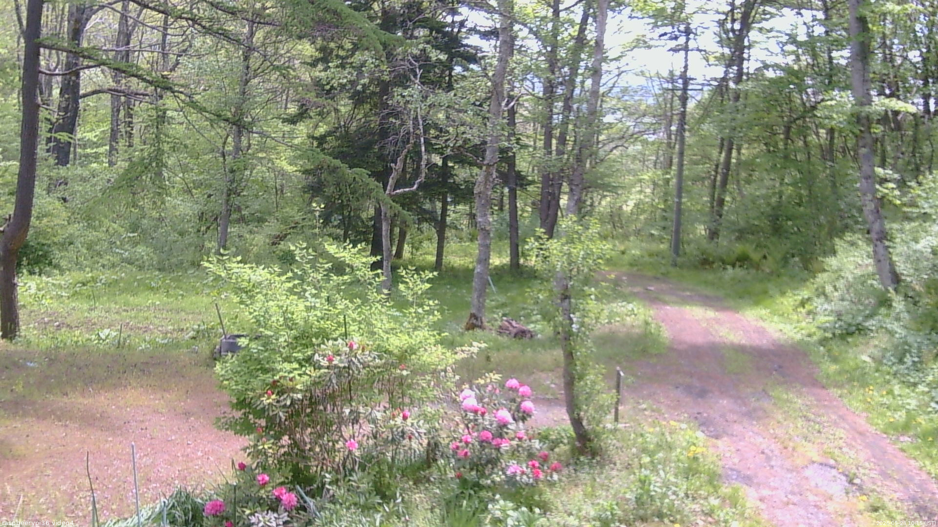 長野県菅平高原 ゆたか山荘 坂上 2026/05/23 10:15