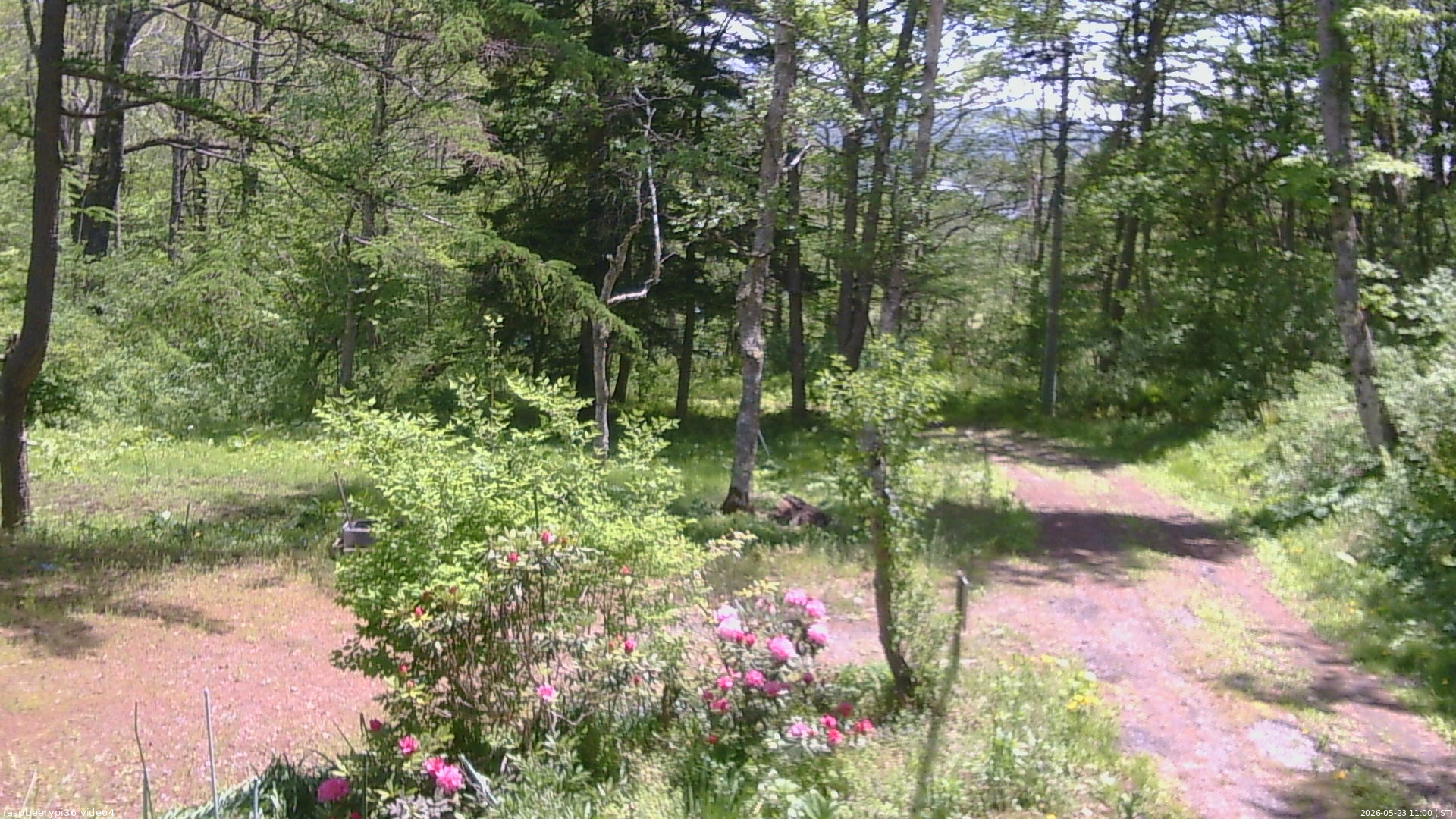長野県菅平高原 ゆたか山荘 坂上 2026/05/23 11:00
