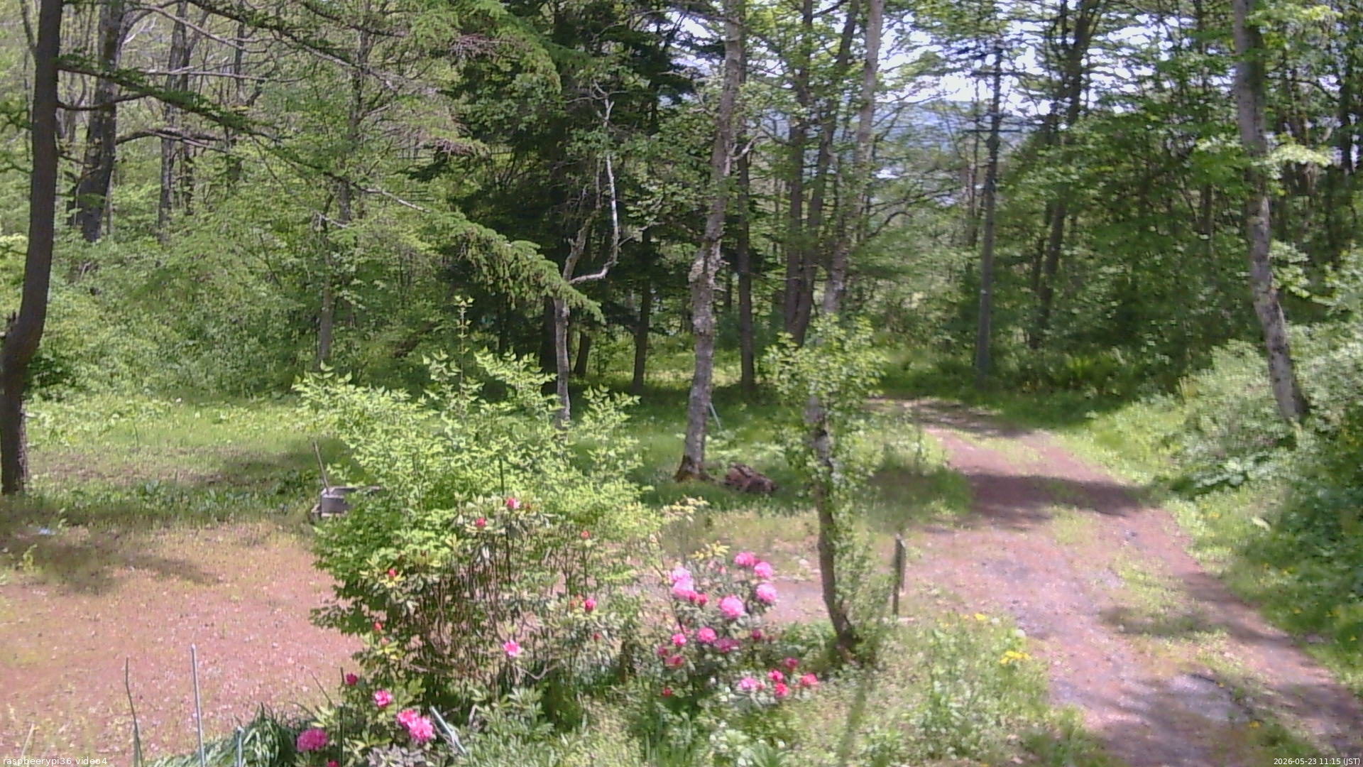 長野県菅平高原 ゆたか山荘 坂上 2026/05/23 11:15