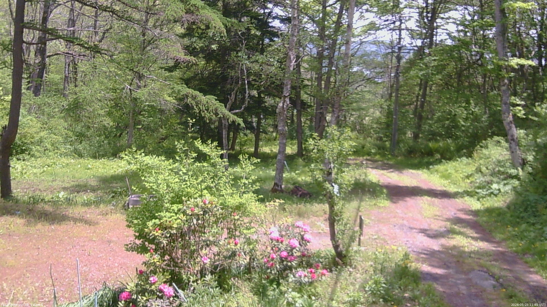 長野県菅平高原 ゆたか山荘 坂上 2026/05/23 11:45