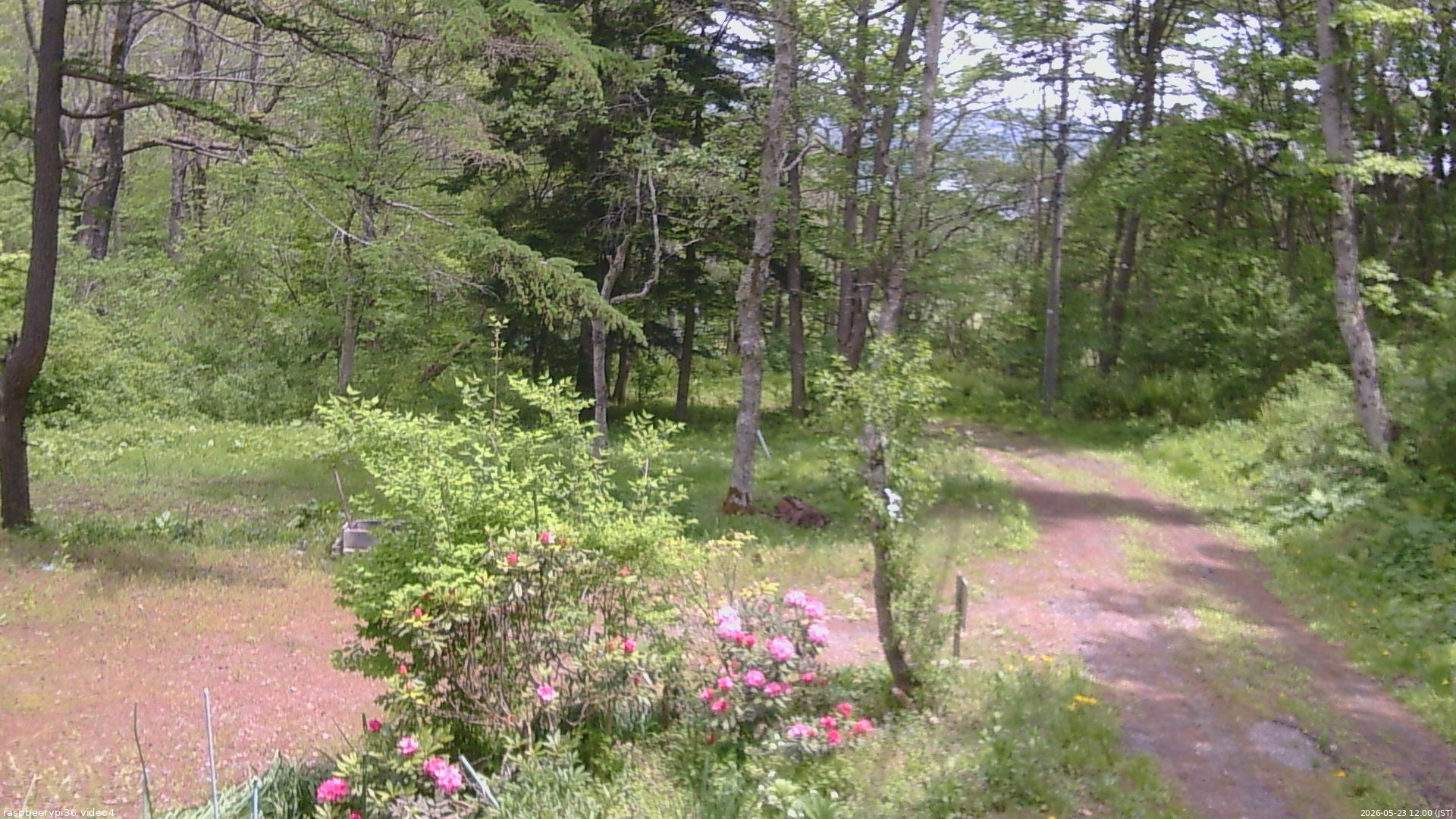 長野県菅平高原 ゆたか山荘 坂上 2026/05/23 12:00