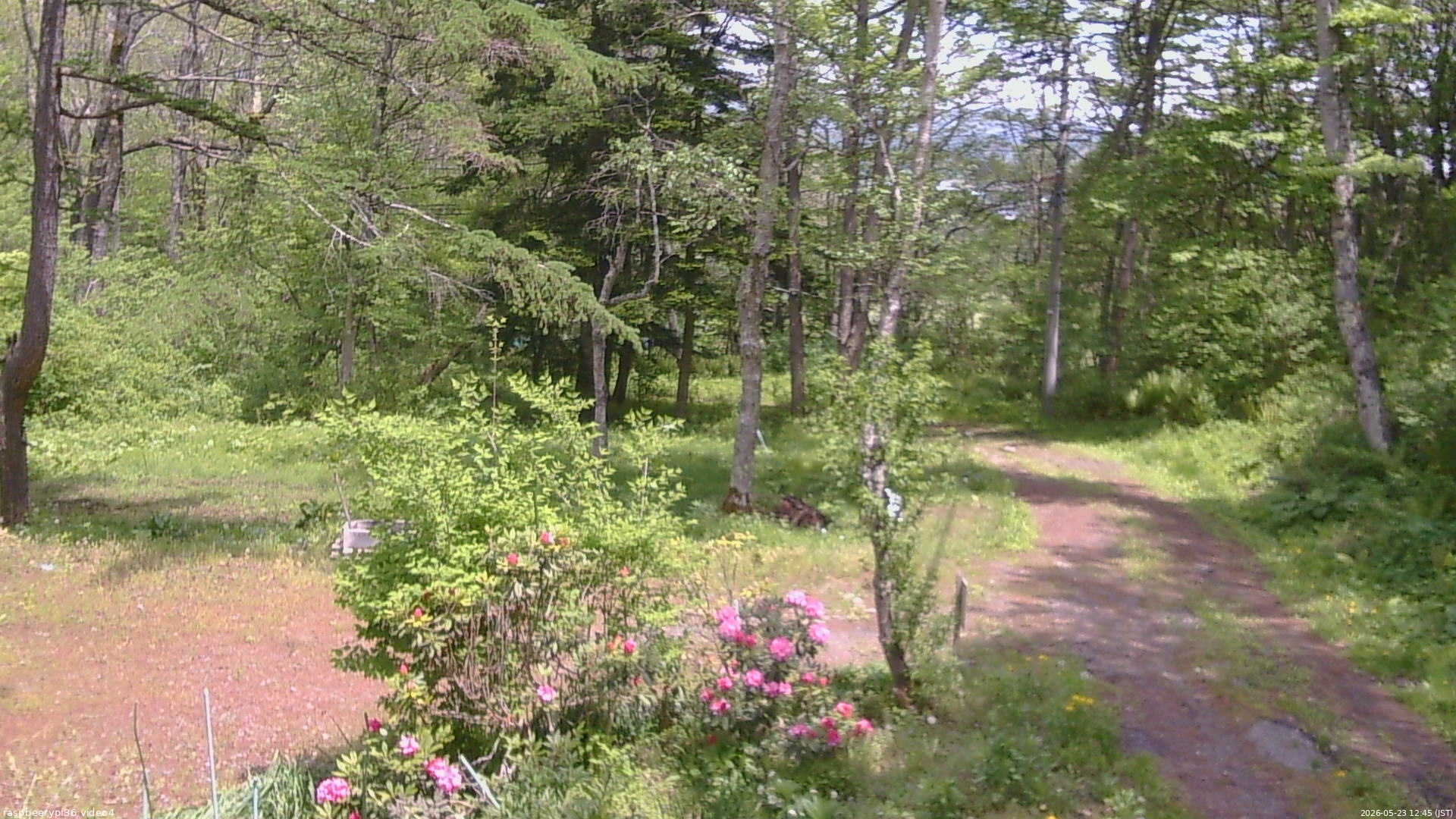 長野県菅平高原 ゆたか山荘 坂上 2026/05/23 12:45