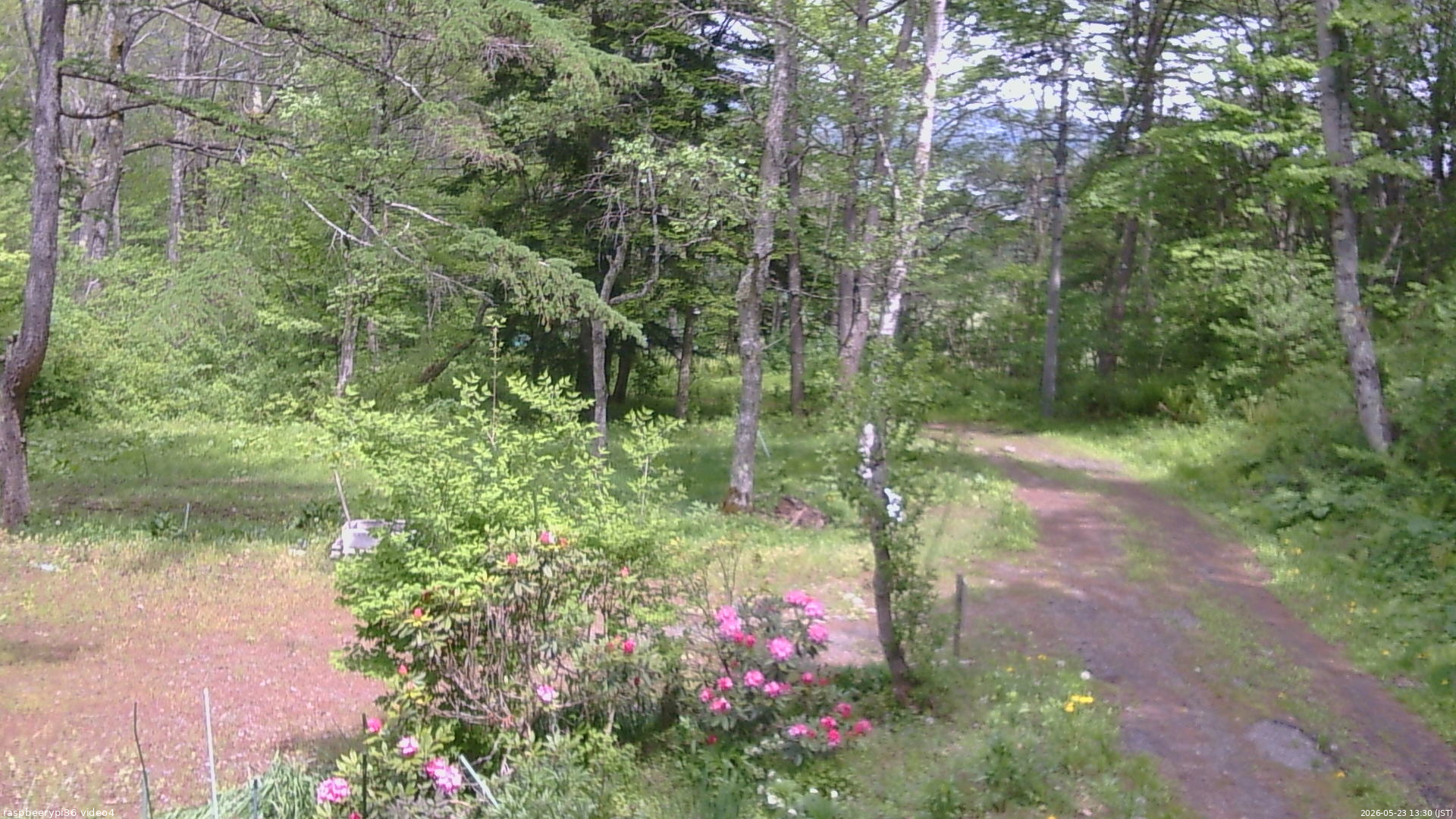 長野県菅平高原 ゆたか山荘 坂上 2026/05/23 13:30