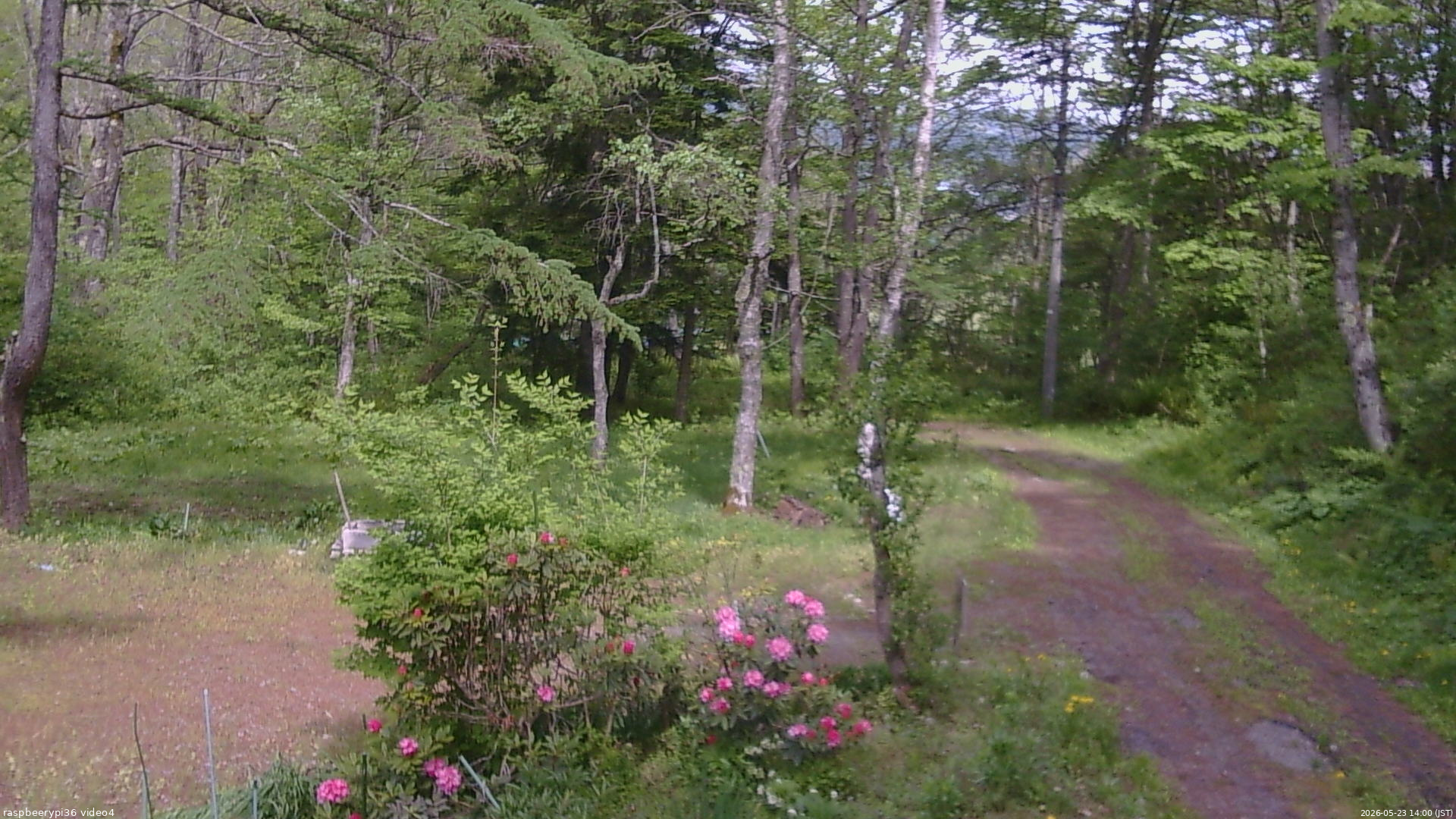 長野県菅平高原 ゆたか山荘 坂上 2026/05/23 14:00