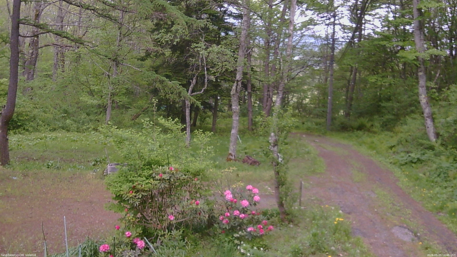 長野県菅平高原 ゆたか山荘 坂上 2026/05/23 14:45