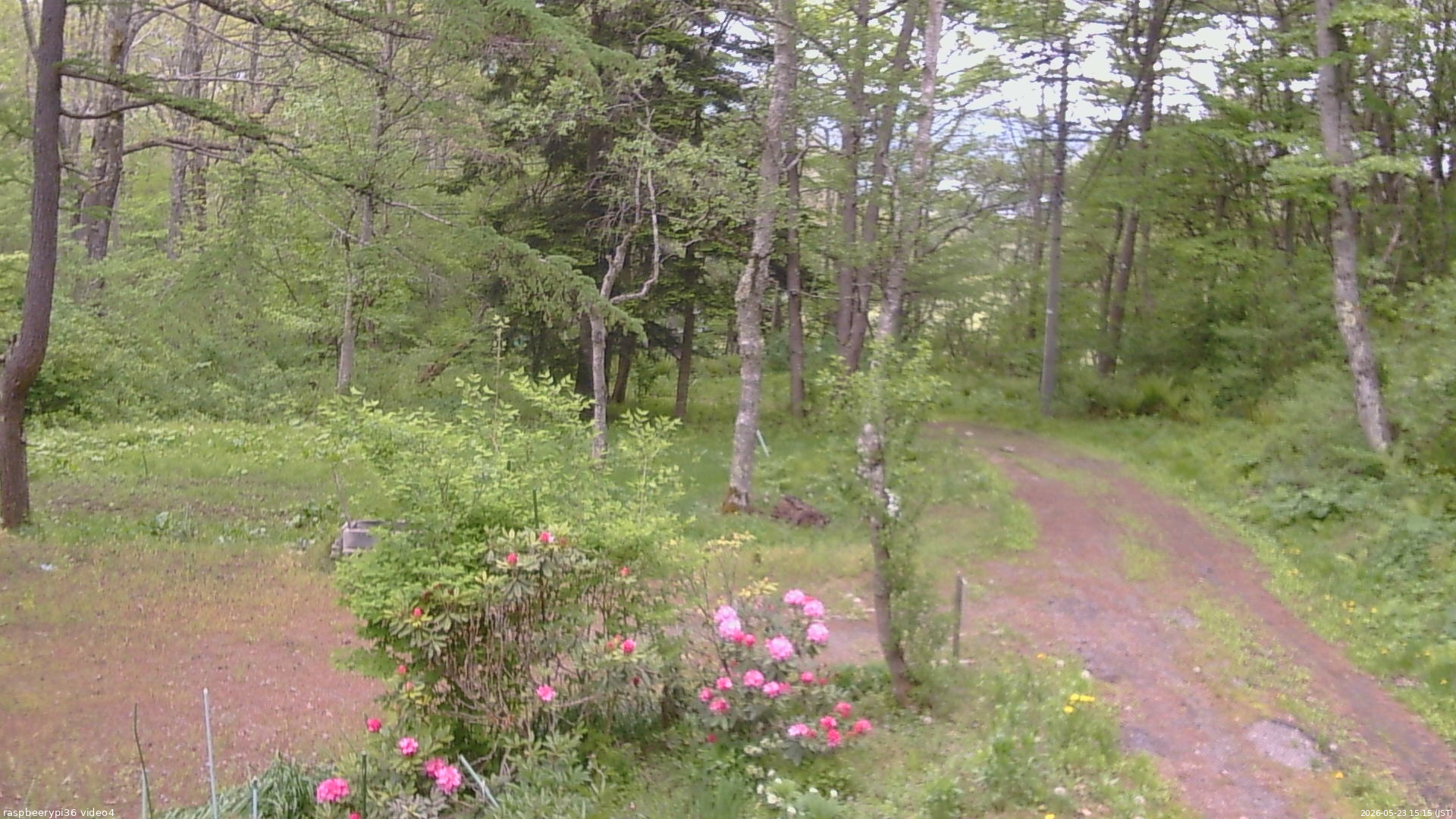 長野県菅平高原 ゆたか山荘 坂上 2026/05/23 15:15