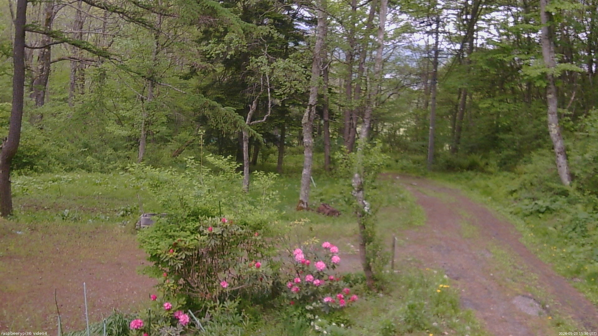 長野県菅平高原 ゆたか山荘 坂上 2026/05/23 15:30