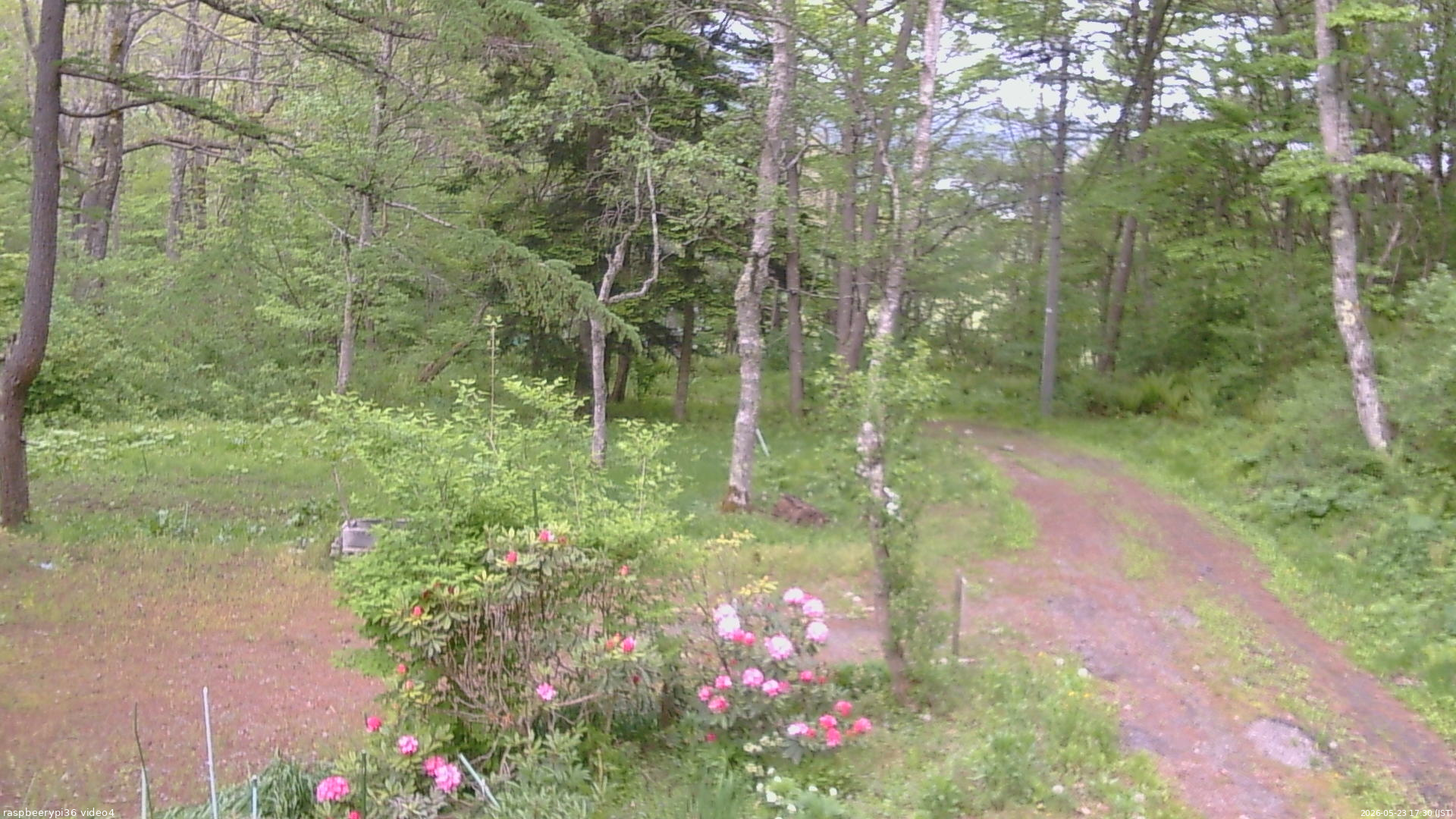長野県菅平高原 ゆたか山荘 坂上 2026/05/23 17:30