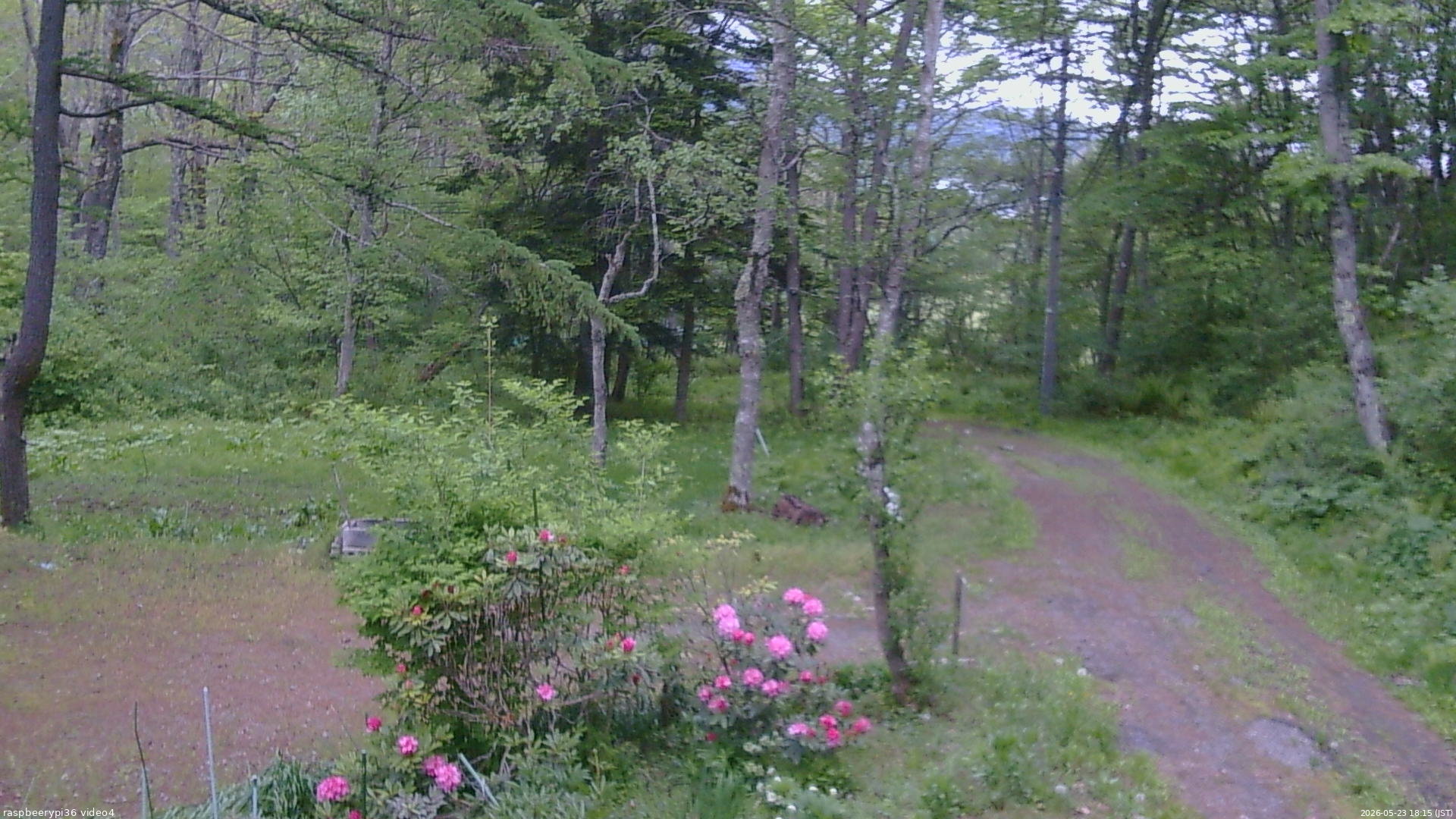長野県菅平高原 ゆたか山荘 坂上 2026/05/23 18:15