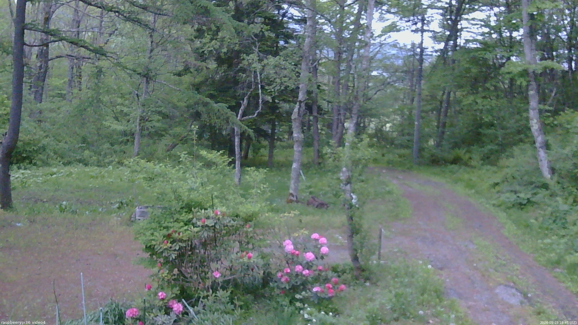 長野県菅平高原 ゆたか山荘 坂上 2026/05/23 18:45