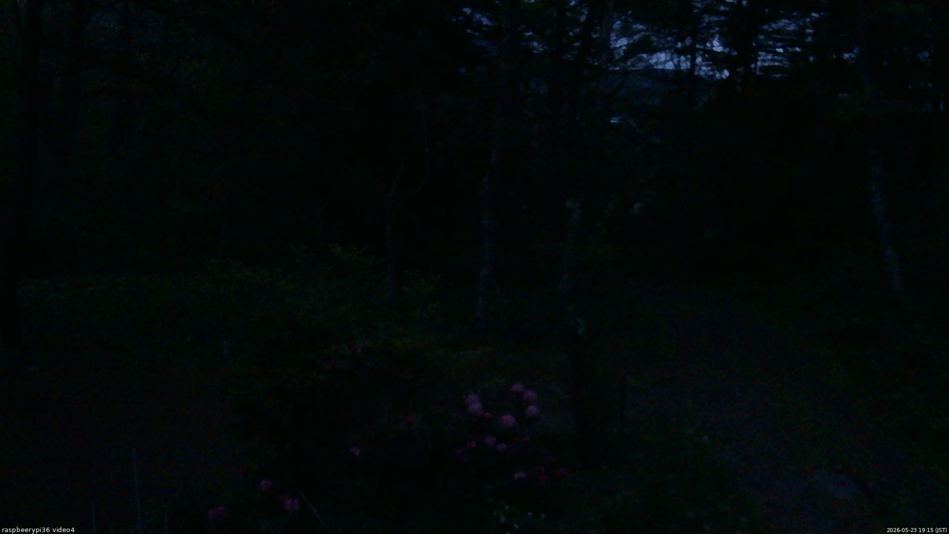 長野県菅平高原 ゆたか山荘 坂上 2026/05/23 19:15