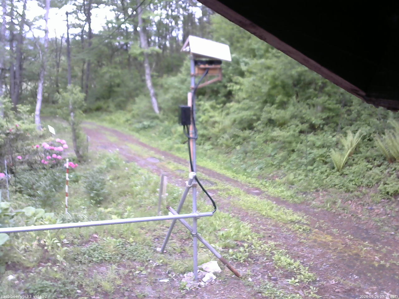 長野県菅平高原 ゆたか山荘 南側 2026/05/24 07:15