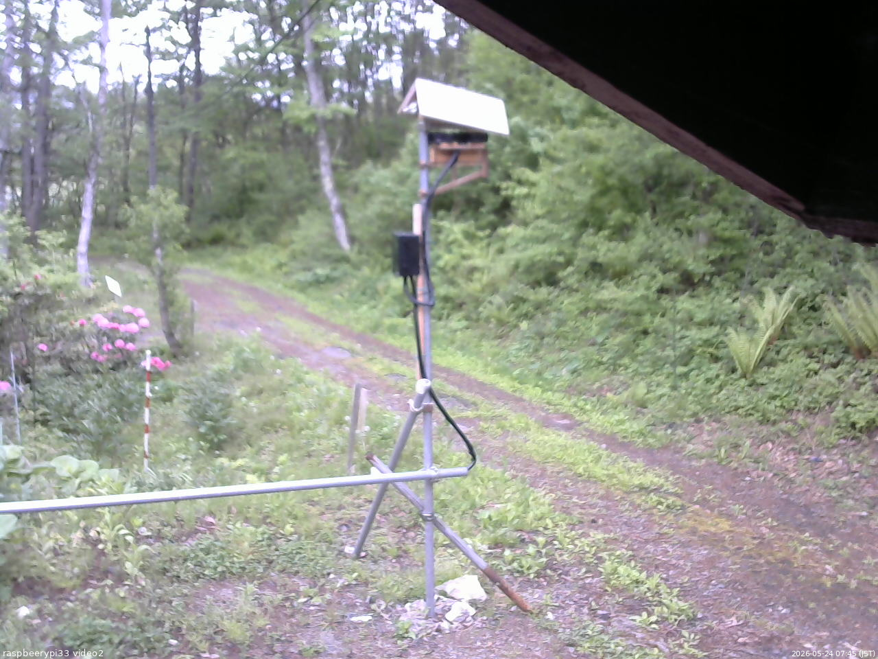 長野県菅平高原 ゆたか山荘 南側 2026/05/24 07:45