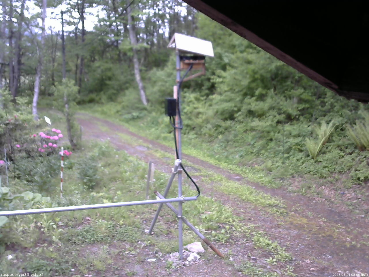 長野県菅平高原 ゆたか山荘 南側 2026/05/24 08:00