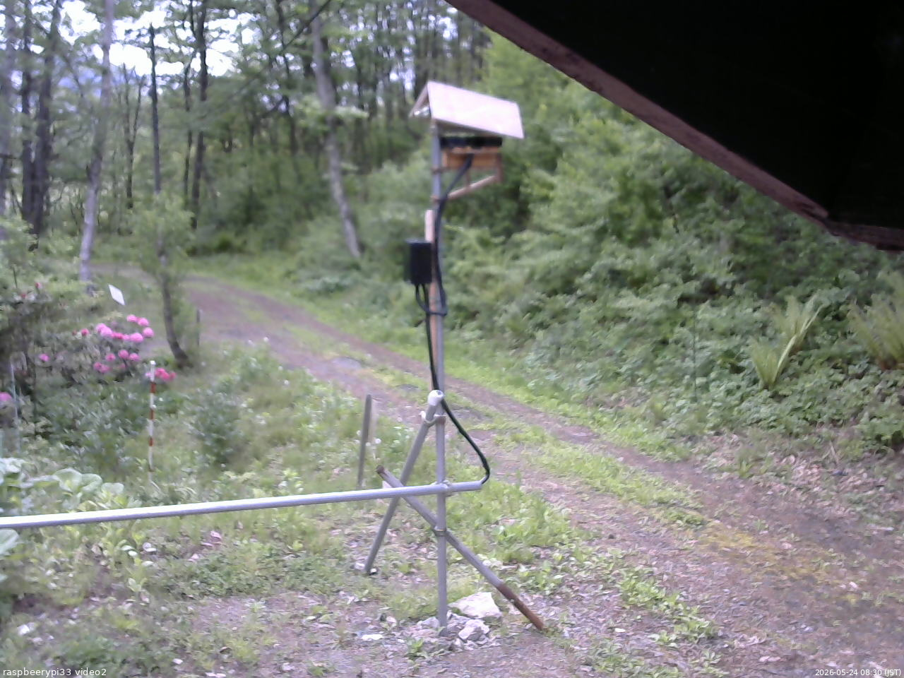 長野県菅平高原 ゆたか山荘 南側 2026/05/24 08:30