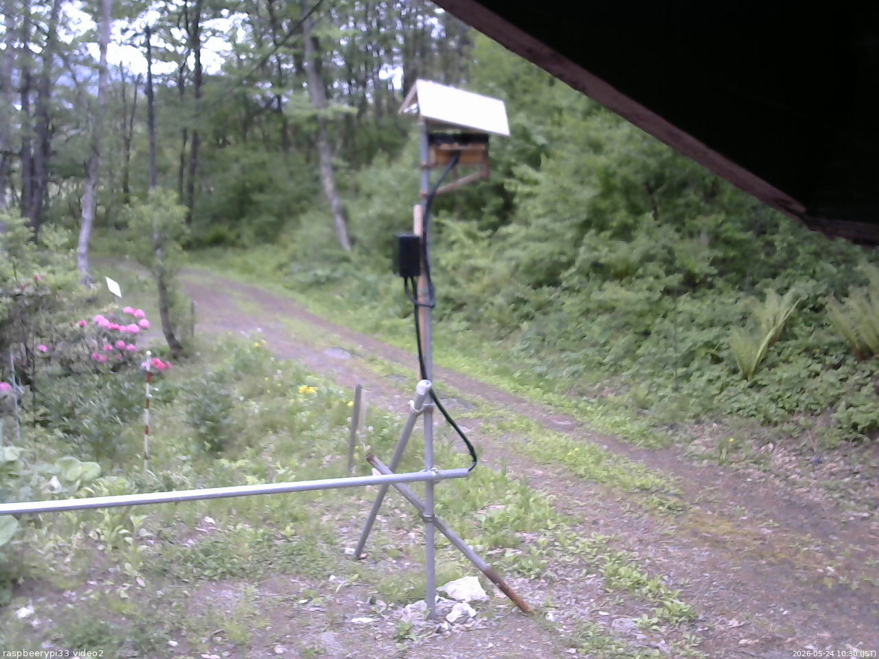 長野県菅平高原 ゆたか山荘 南側 2026/05/24 10:30
