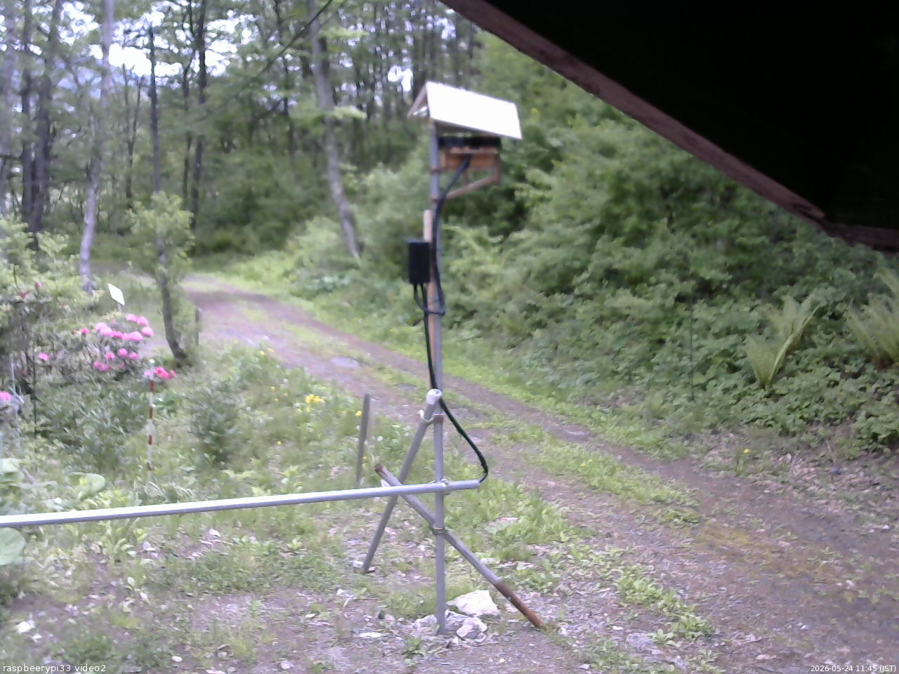 長野県菅平高原 ゆたか山荘 南側 2026/05/24 11:45
