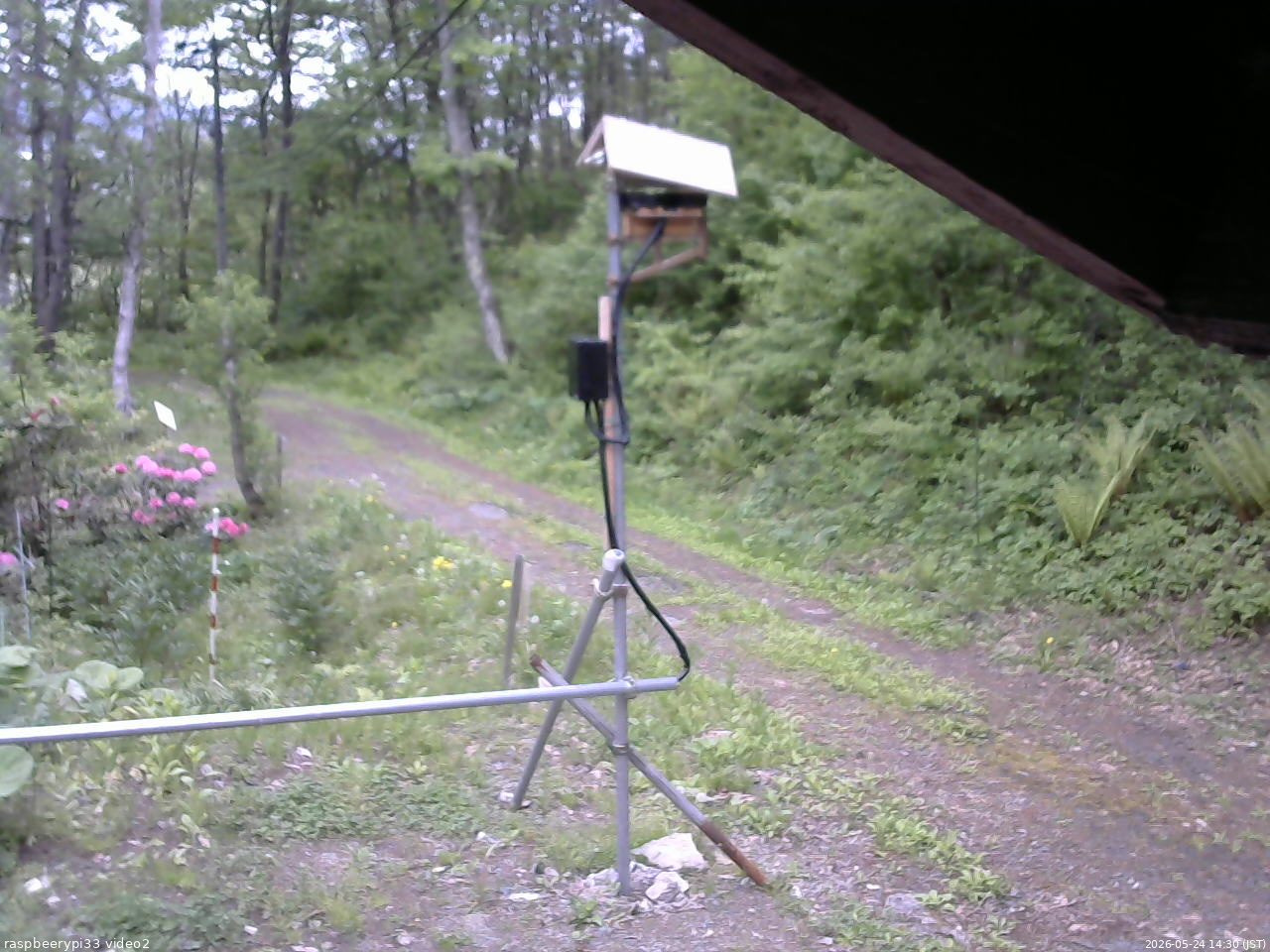 長野県菅平高原 ゆたか山荘 南側 2026/05/24 14:30