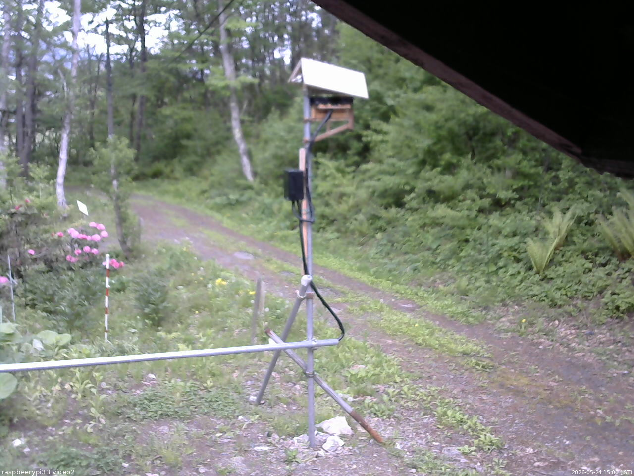 長野県菅平高原 ゆたか山荘 南側 2026/05/24 15:00