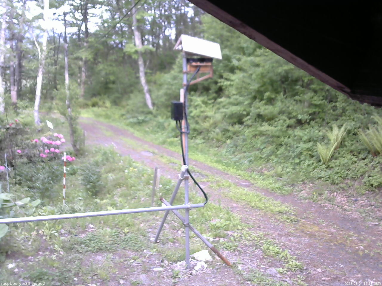 長野県菅平高原 ゆたか山荘 南側 2026/05/24 17:15