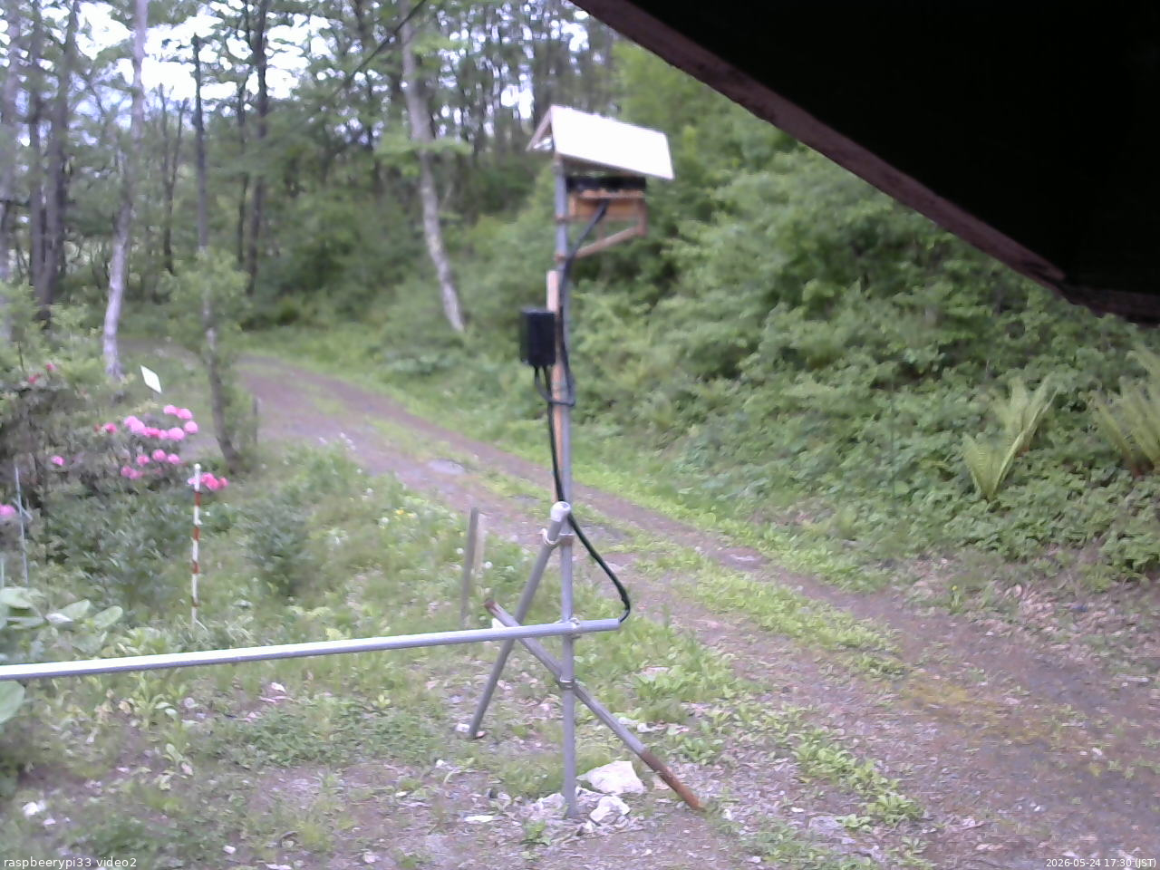 長野県菅平高原 ゆたか山荘 南側 2026/05/24 17:30