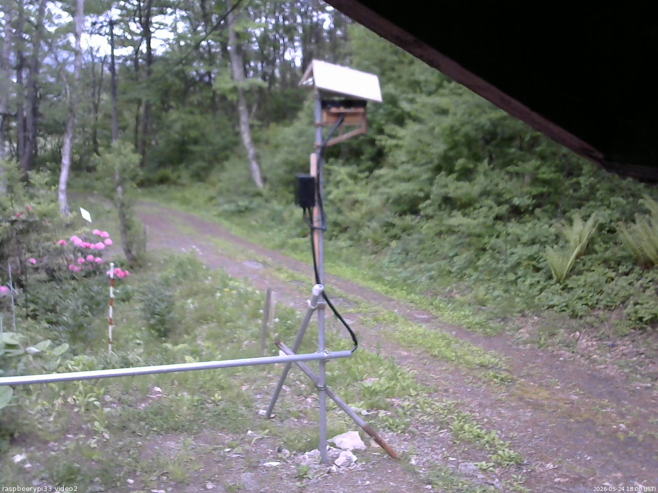 長野県菅平高原 ゆたか山荘 南側 2026/05/24 18:00