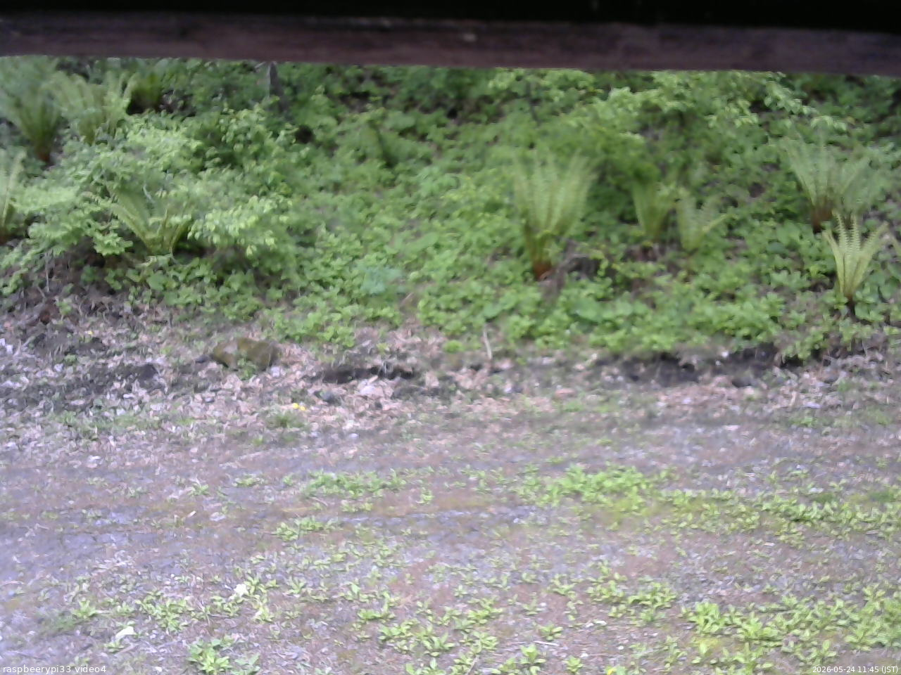 長野県菅平高原 ゆたか山荘 東側(坂下) 2026/05/24 11:45