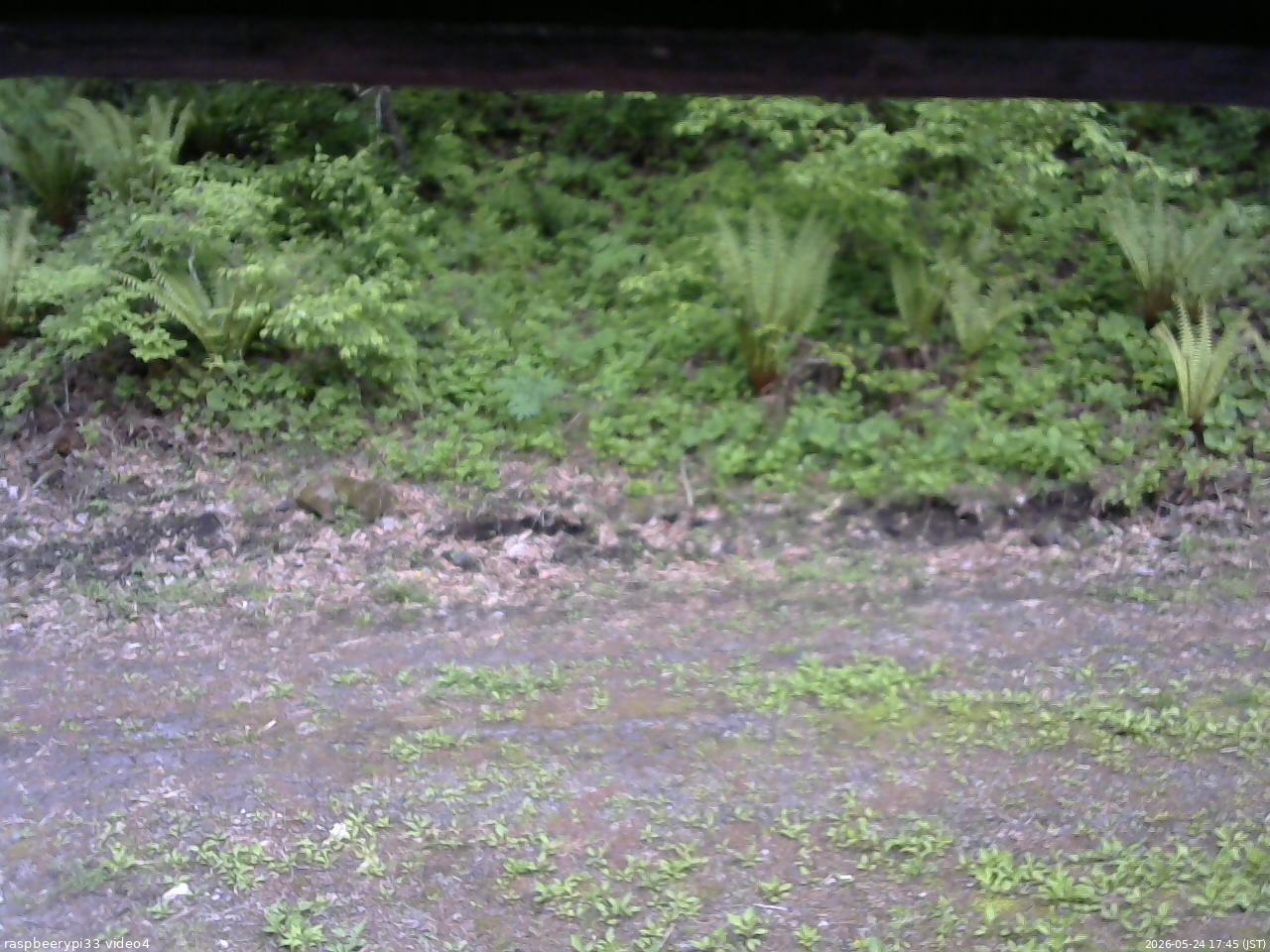 長野県菅平高原 ゆたか山荘 東側(坂下) 2026/05/24 17:45