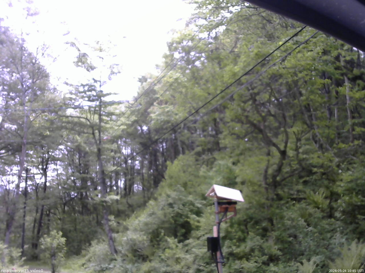 長野県菅平高原 ゆたか山荘 温度計 2026/05/24 10:45