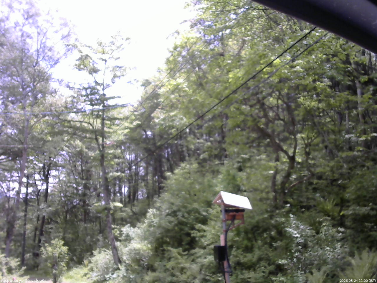 長野県菅平高原 ゆたか山荘 温度計 2026/05/24 11:00